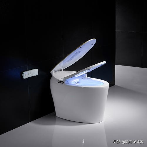 智能马桶究竟好不好,智能马桶好不好视频