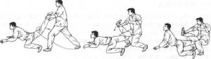 防身术防直拳,掌棍防身术