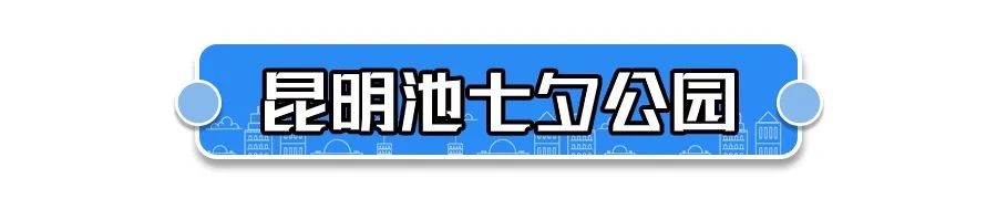 西安周边踏青免费一日游,西安周边油菜花踏青好去处