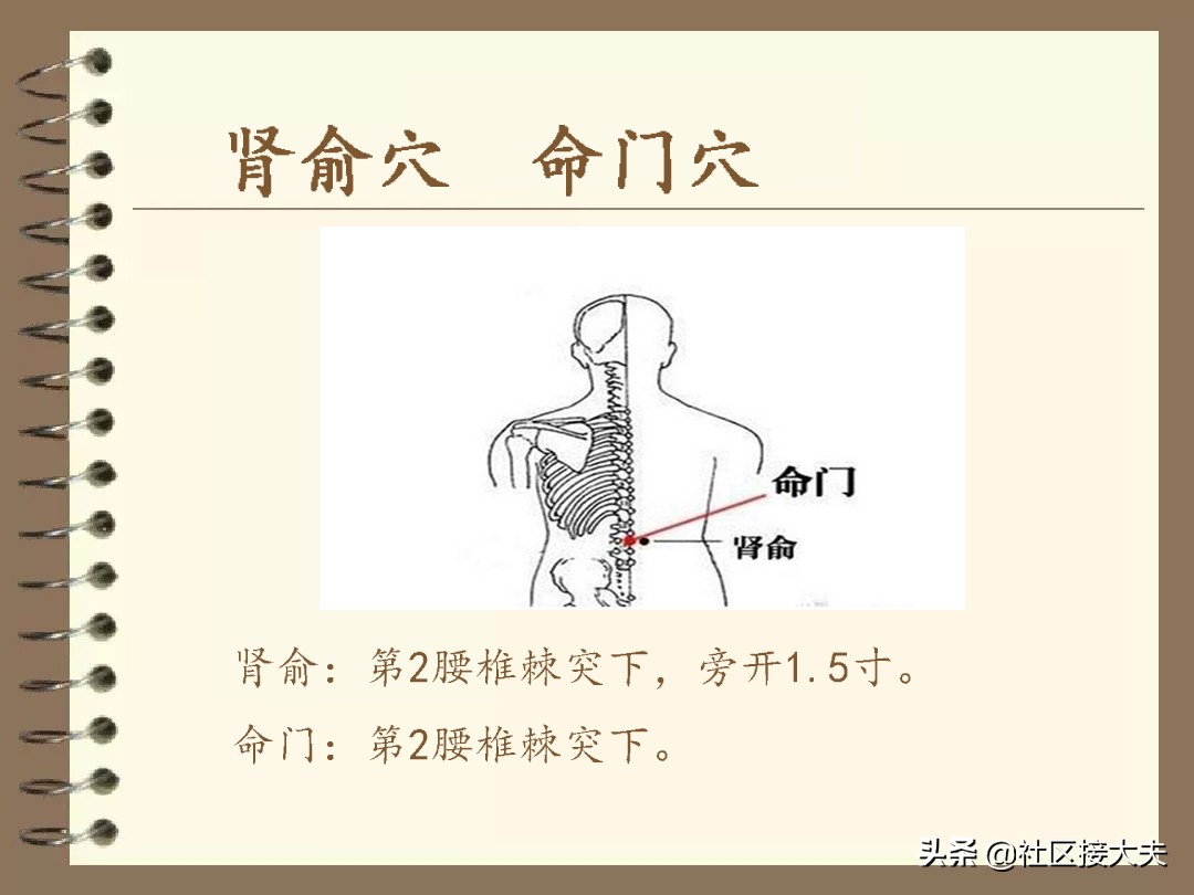 常见病针灸穴位,刘红云针灸治疗泄泻