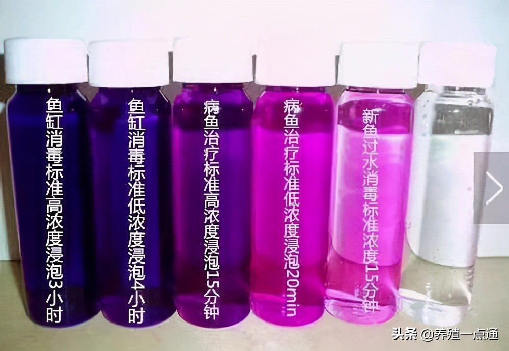 观赏鱼杀菌盐使用方法,水产鱼药观赏鱼可以用吗