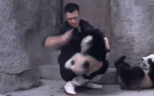瘦脸针可以做手法提拉吗,瘦脸针是怎么瘦脸的