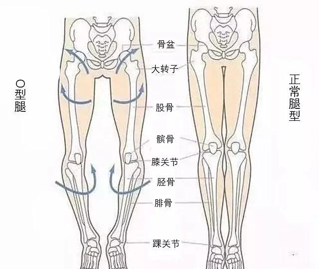 怎么练成大长腿懒人动作,如何练成笔直大长腿