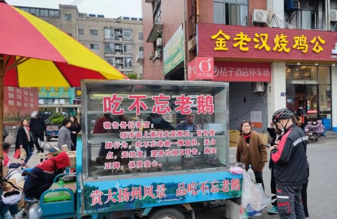 扬州老鹅选用哪里的鹅,扬州到哪里买扬州老鹅和狮子头