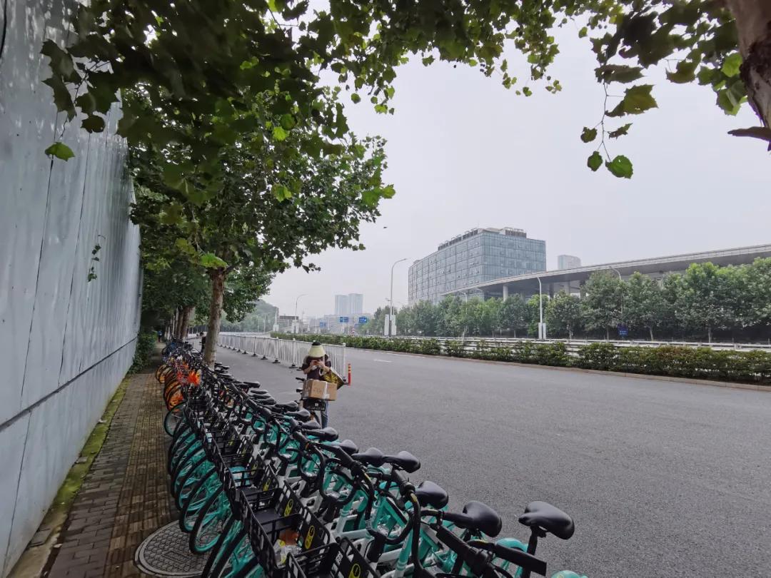 魔法森林不魔法，城北大型商综就这么没动静了？
