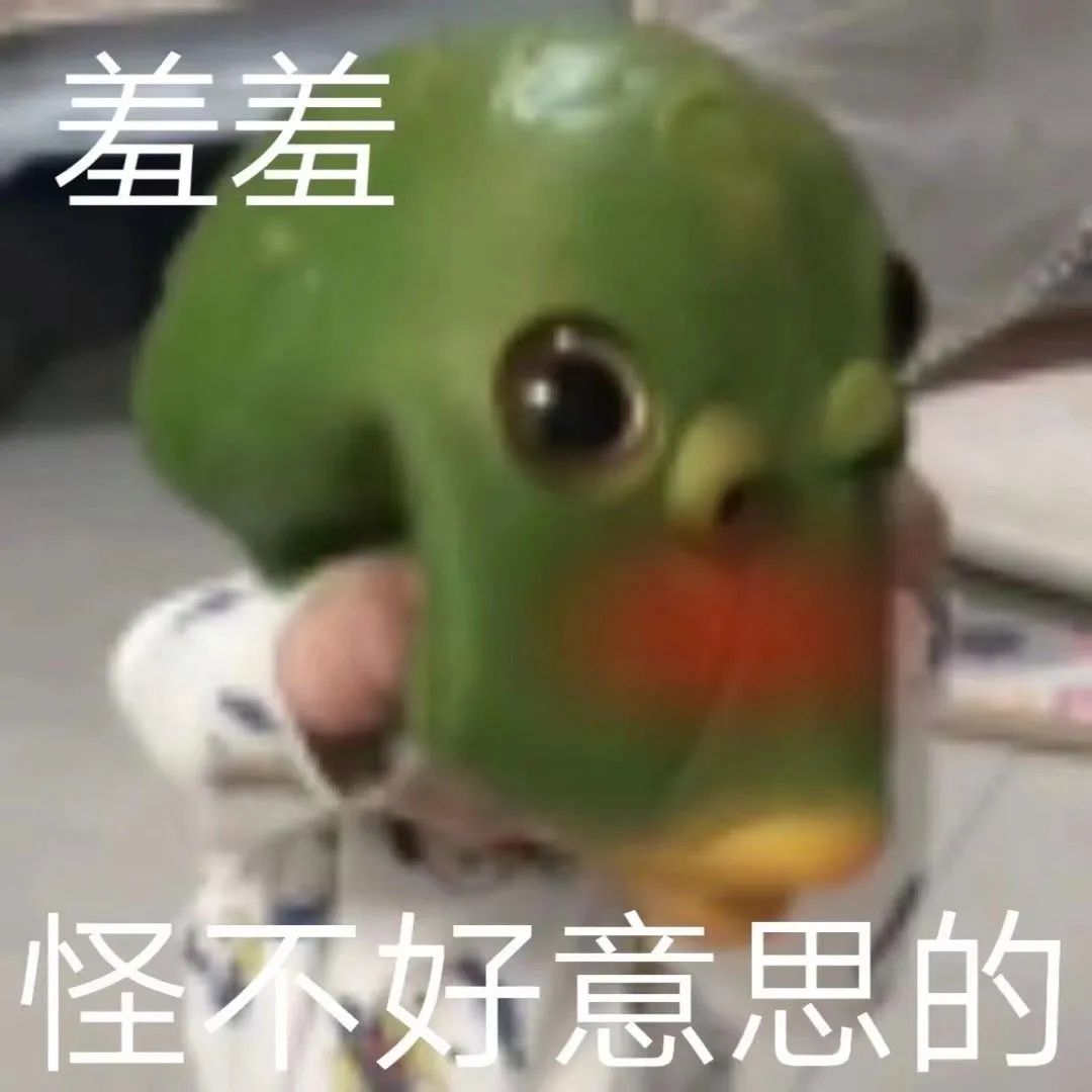 表情包你能亲亲我嘛,表情包你能拿我怎么办