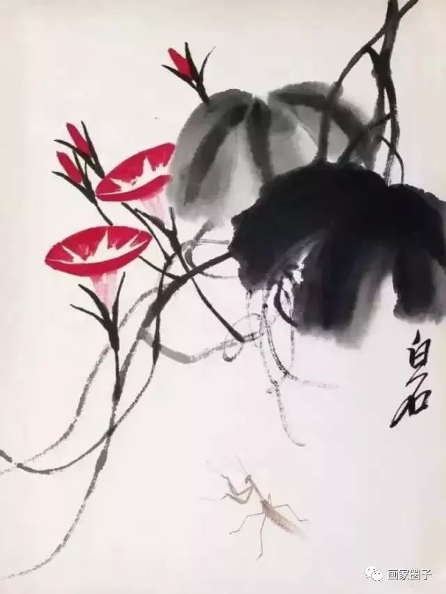 100种漂亮花卉图片,100张漂亮花图