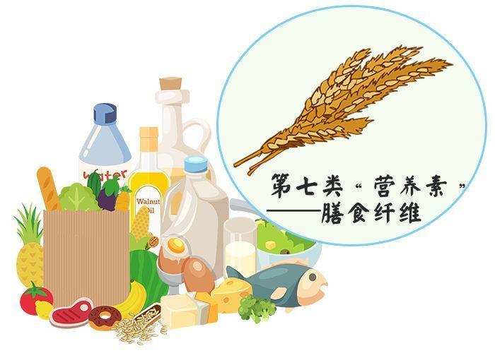 肠道都喜欢怎样的食物？想要胃肠健康，这么吃就对了