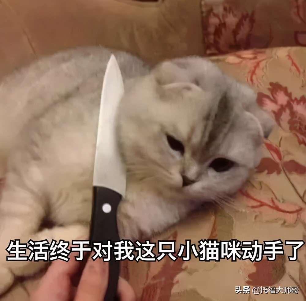 howareyou正确回答方式,美国人说howareyou要怎么回答