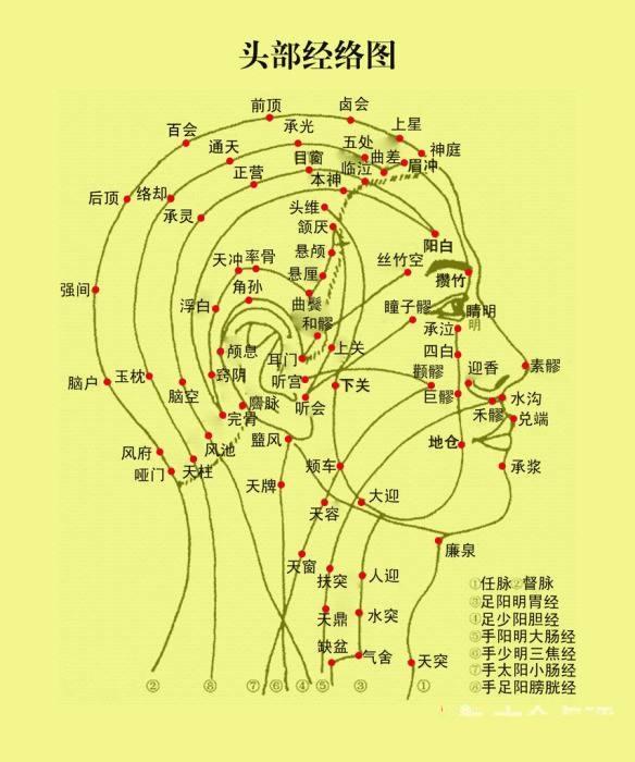把穴位像药物一样分类后，运用竟如此简单