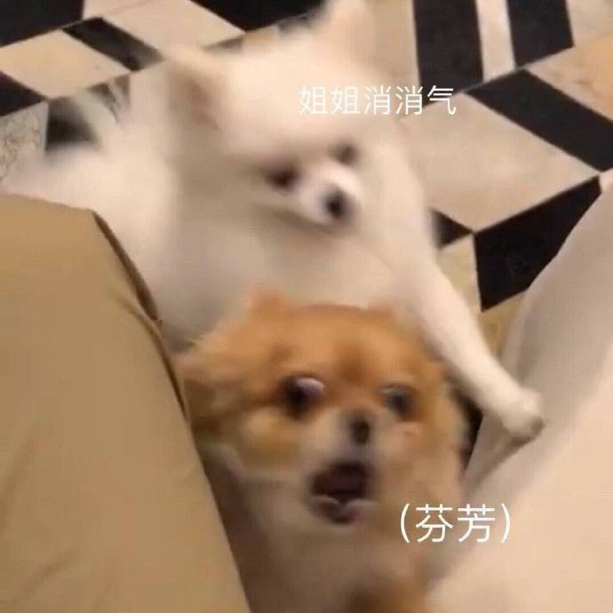表情包你能亲亲我嘛,表情包你能拿我怎么办
