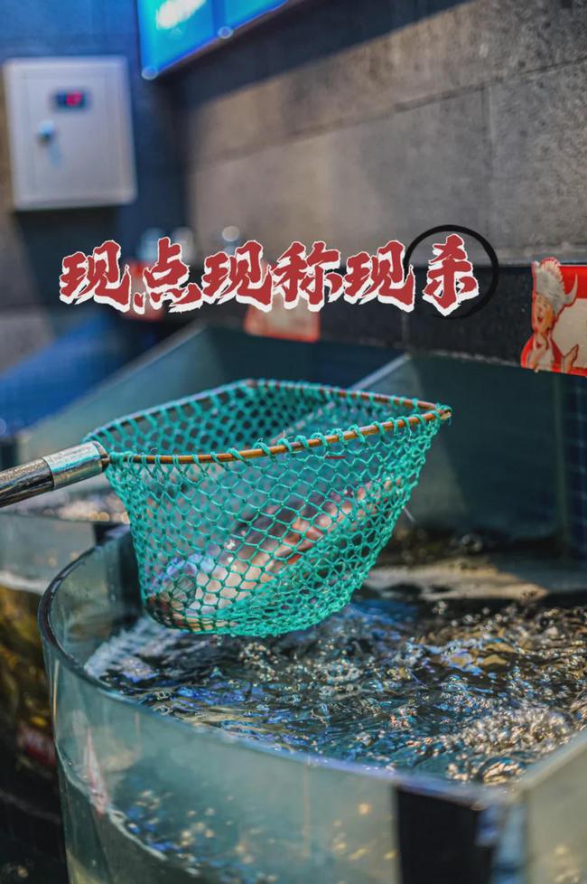 在贵州最正宗的酸汤鱼店,酸汤鱼老牌店