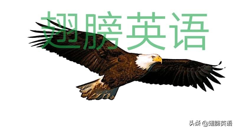 interesting和interested怎么拼读,interesting和interested怎么使用