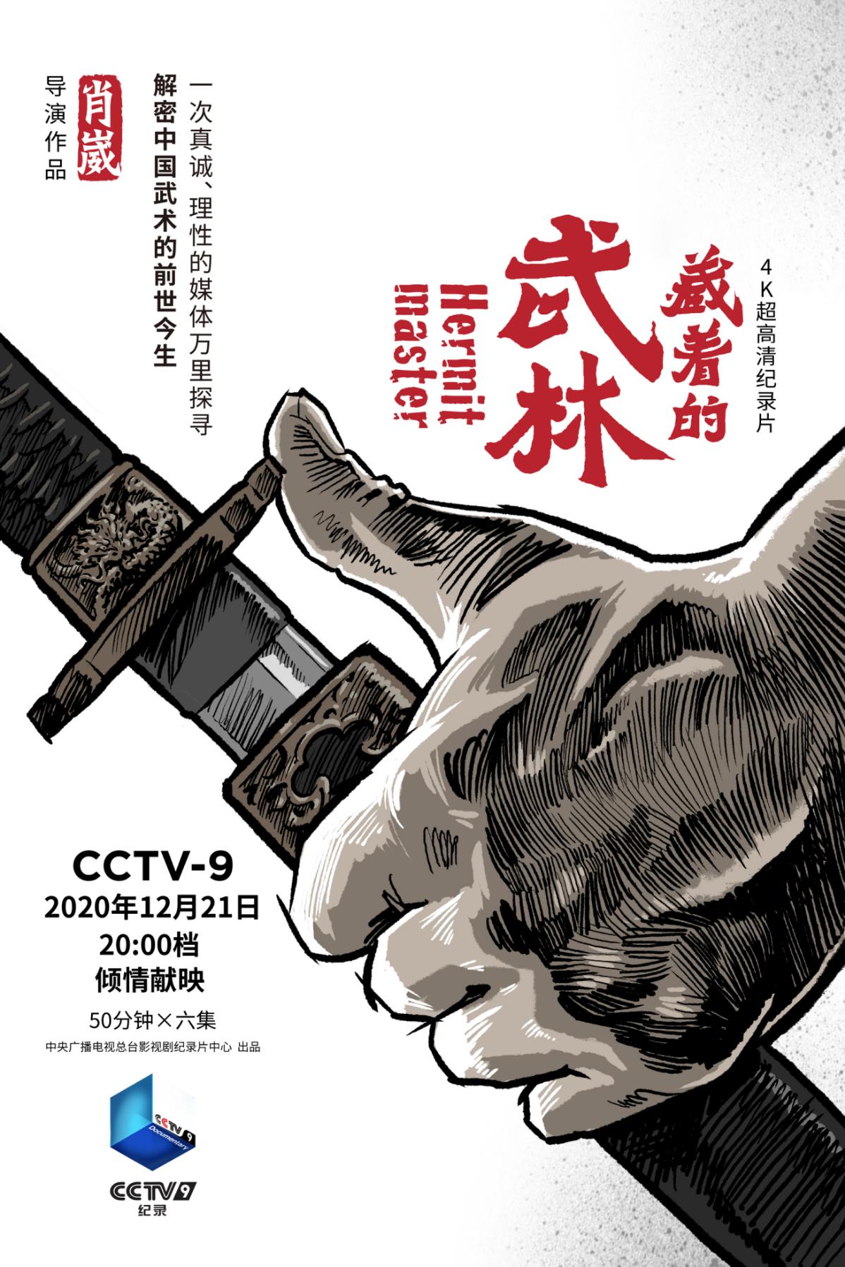 藏着的武林纪录片合集,藏着的武林纪录片对武术的解读