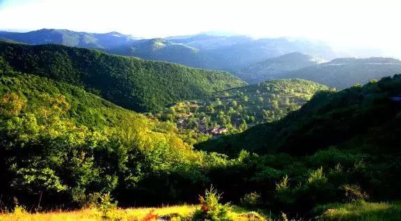 山西晋城析城山，极目胭粉遍草甸