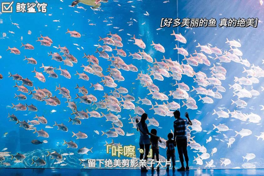珠海火了！世界级酷炫“蓝天盛宴”，这座宝藏城市必须隆重介绍