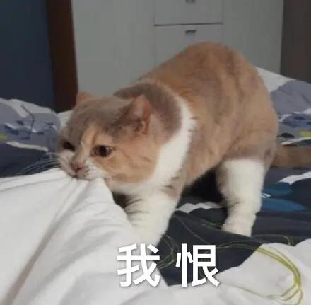 顽固黑头怎么去除最有效,祛除黑头最有效的方法