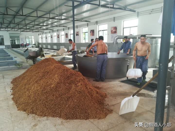 酿清香小曲酒发酵不升温怎么补救,小曲酒烧糟发霉是什么问题