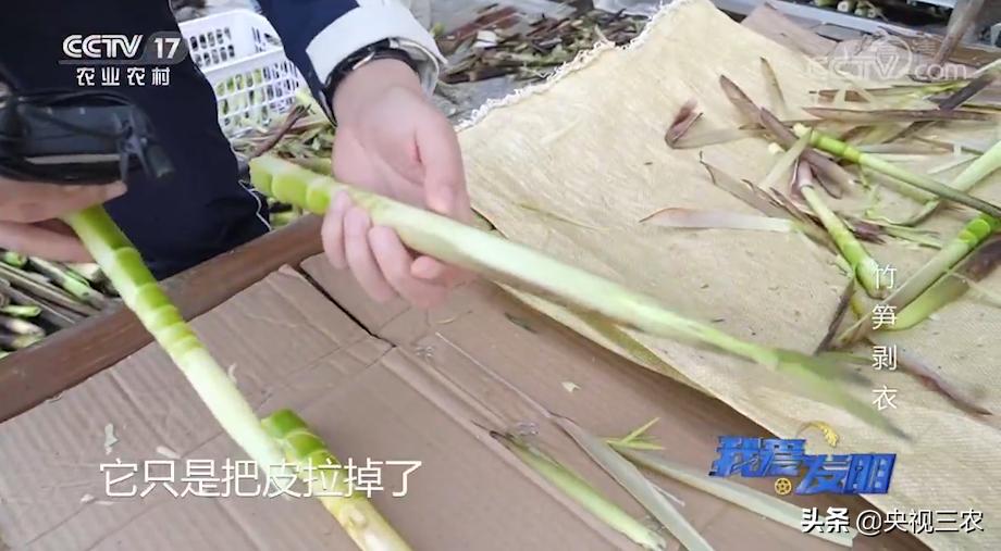 有了“王万能”发明的神器，竹笋剥皮轻松搞定