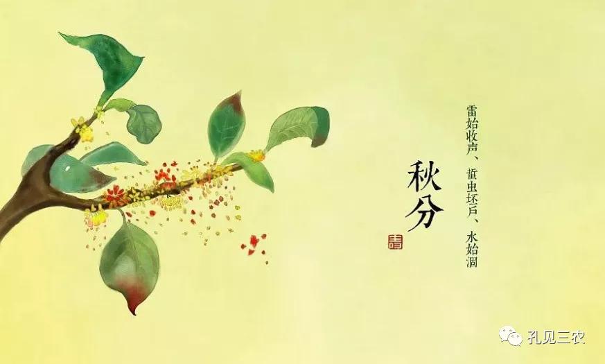 今天是秋分上午好问候图片,今天是秋分节的感悟