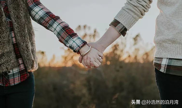 鏋烽攣鑴氶暎,鑴氶暎鏋烽攣