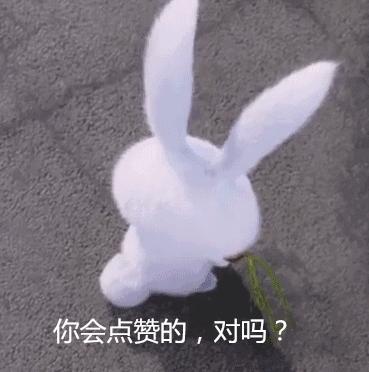 丝带绣手工刺绣,刺绣针法全针绣