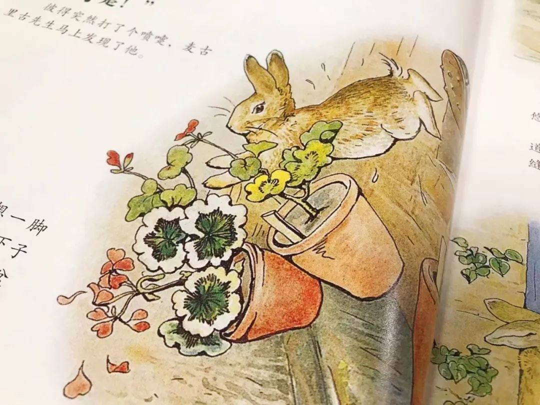 经典童话书怎么选？这份书单不仅孩子爱读，还能学英语