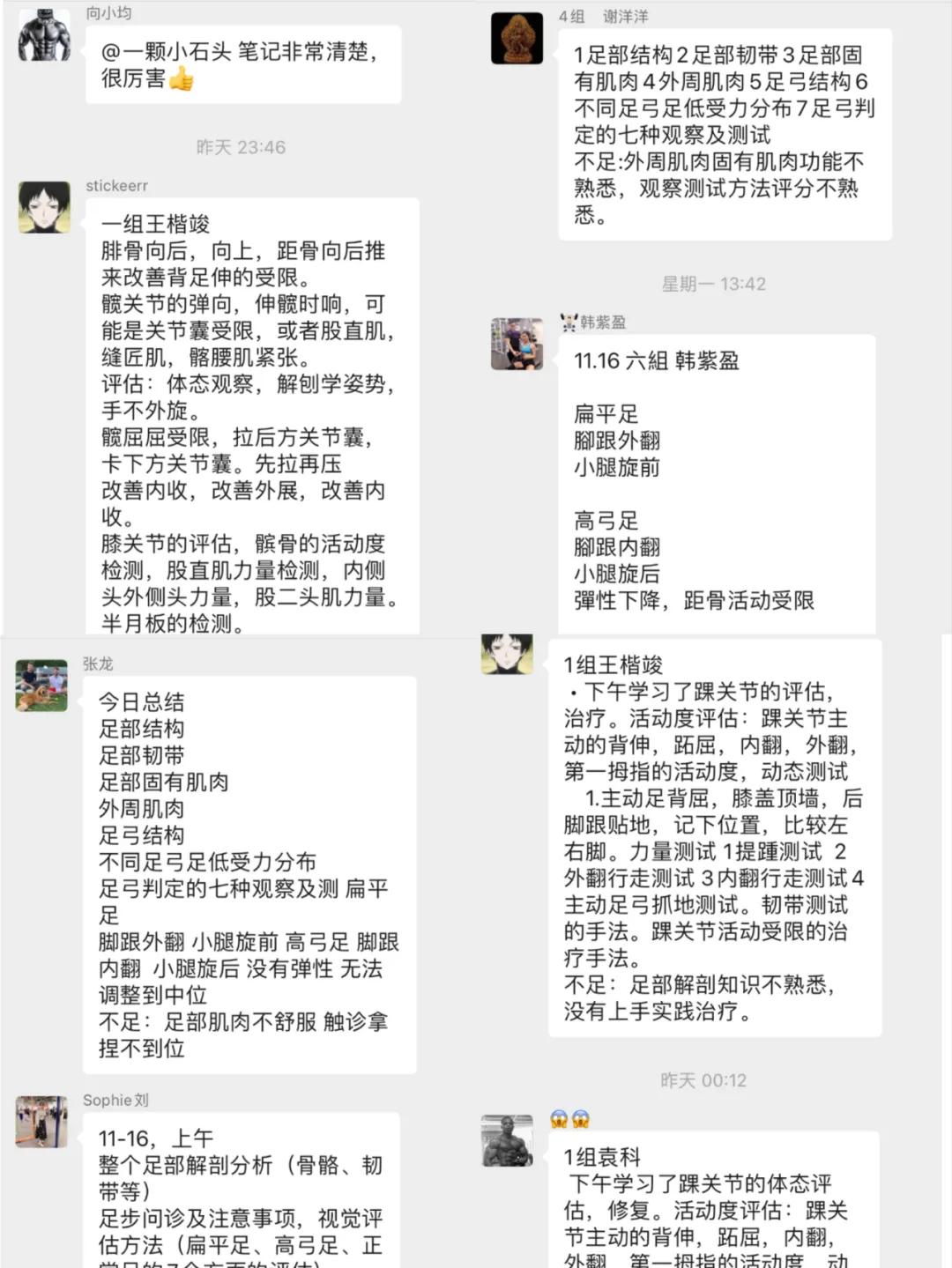 NERT|成都站—四肢关节运动康复师培训班结课