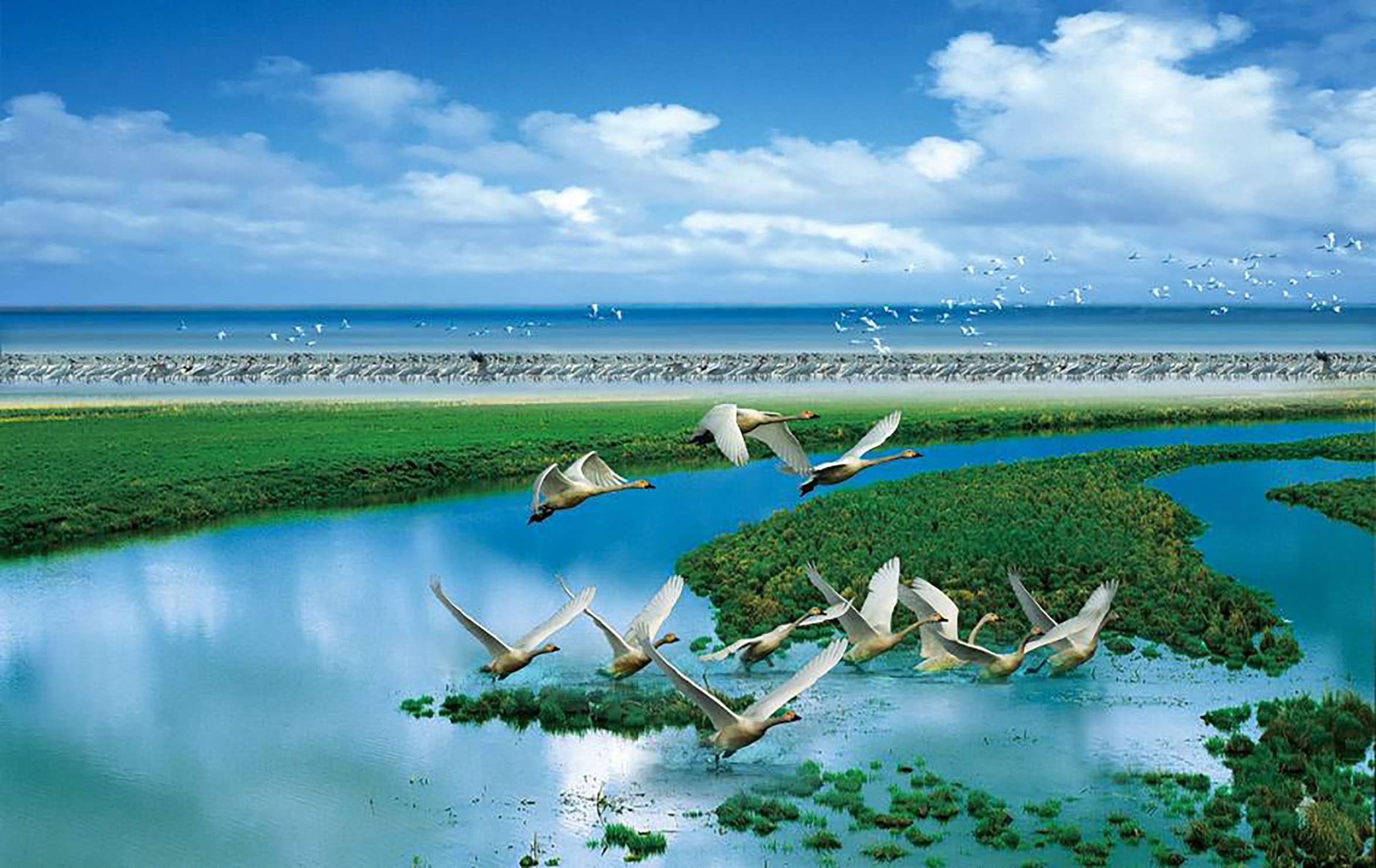 鄱阳湖中国最大淡水湖,鄱阳湖最大淡水湖