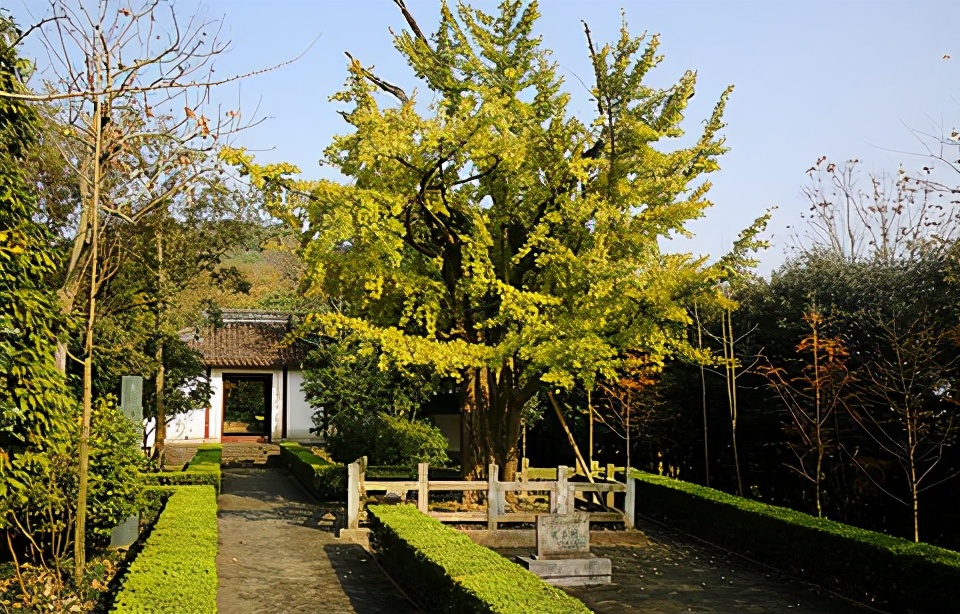 莆田值得旅游的地方,莆田有哪里值得去的景点