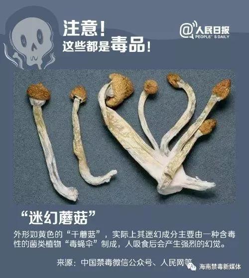 造孽啊！吸毒后的男女如此不堪入目！
