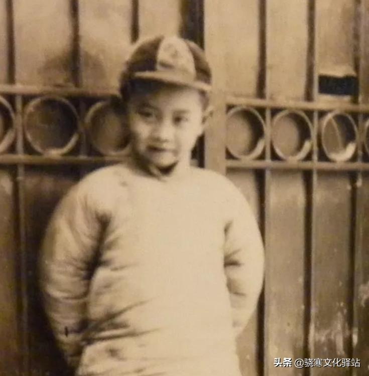 “纸囚一世”—译者吴钧陶，常年被结核菌侵扰却坚持传递中西文化