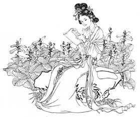 风中摇曳的秋色，是黛玉的“风露清愁”，是“年华都付与木芙蓉”