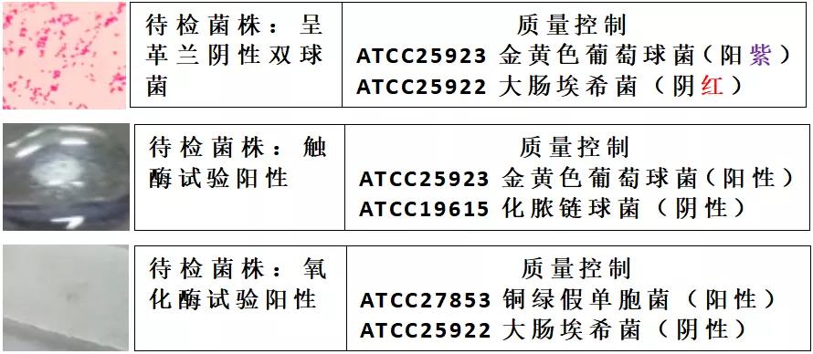 窥一斑而知全貌出自,窥一孔而知全豹