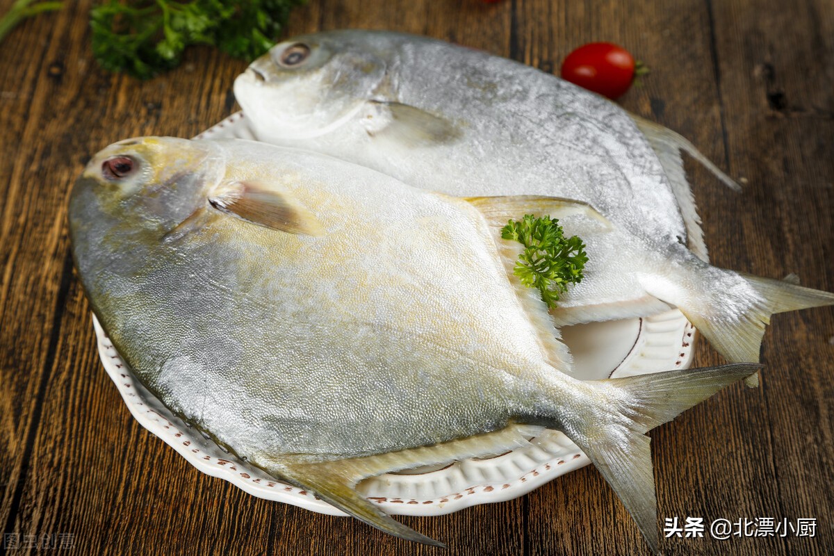哪些海鱼是纯野生的人工饲养不了,人工养殖海鱼和野生海鱼