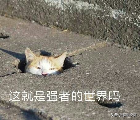 在北京有1000套房子,北京600万能买哪的学区房