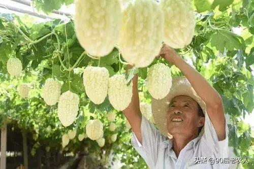 比较适合在农村创业的项目有哪些,在农村创业哪些项目最适合做