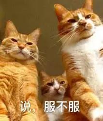 你真的知道什么是服装尾货吗,你们真的了解设计吗