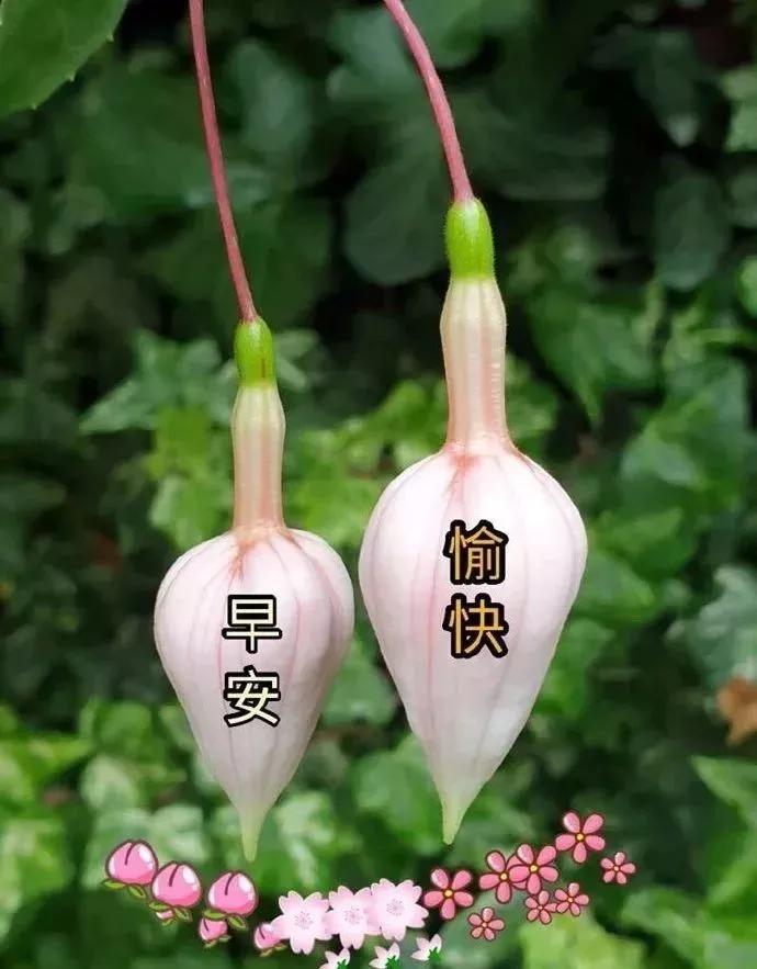 健康是自己的只有自己才珍惜,一段健康的友情真的很重要
