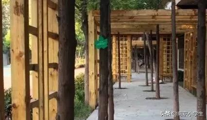 超厉害！芳草园小学这群娃摘得全国双料冠军