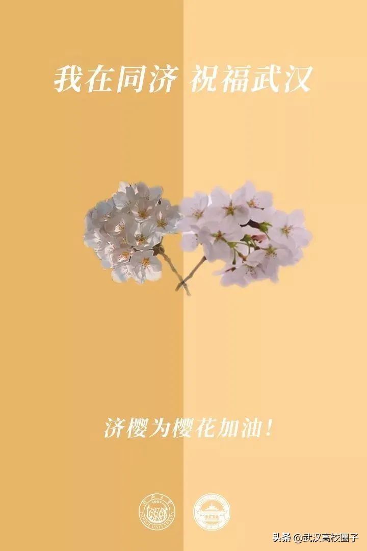 爸妈我想回家视频,爸妈我想回家了原视频