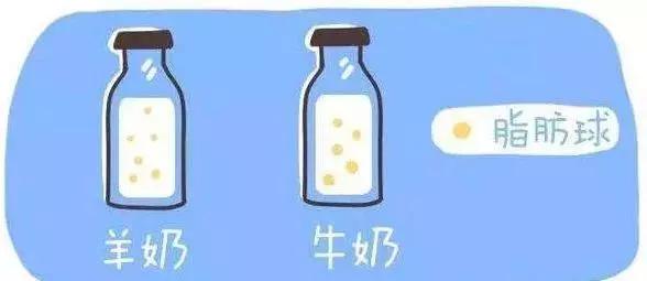 澳洲爆火的神奇爆奶霜，秋冬季有它就够了，一搓爆奶