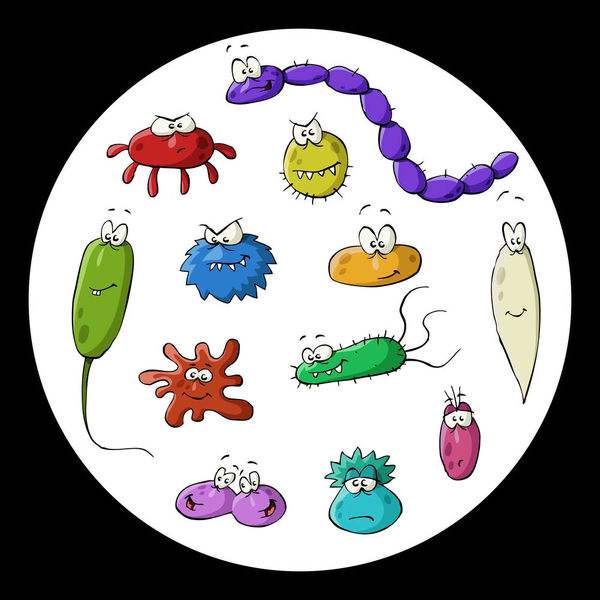 美食→生物材料|小龙虾和螃蟹→伤口敷料