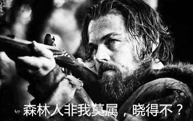 2016款斯巴鲁森林人深度解析,2010款斯巴鲁森林人怎样确定车系