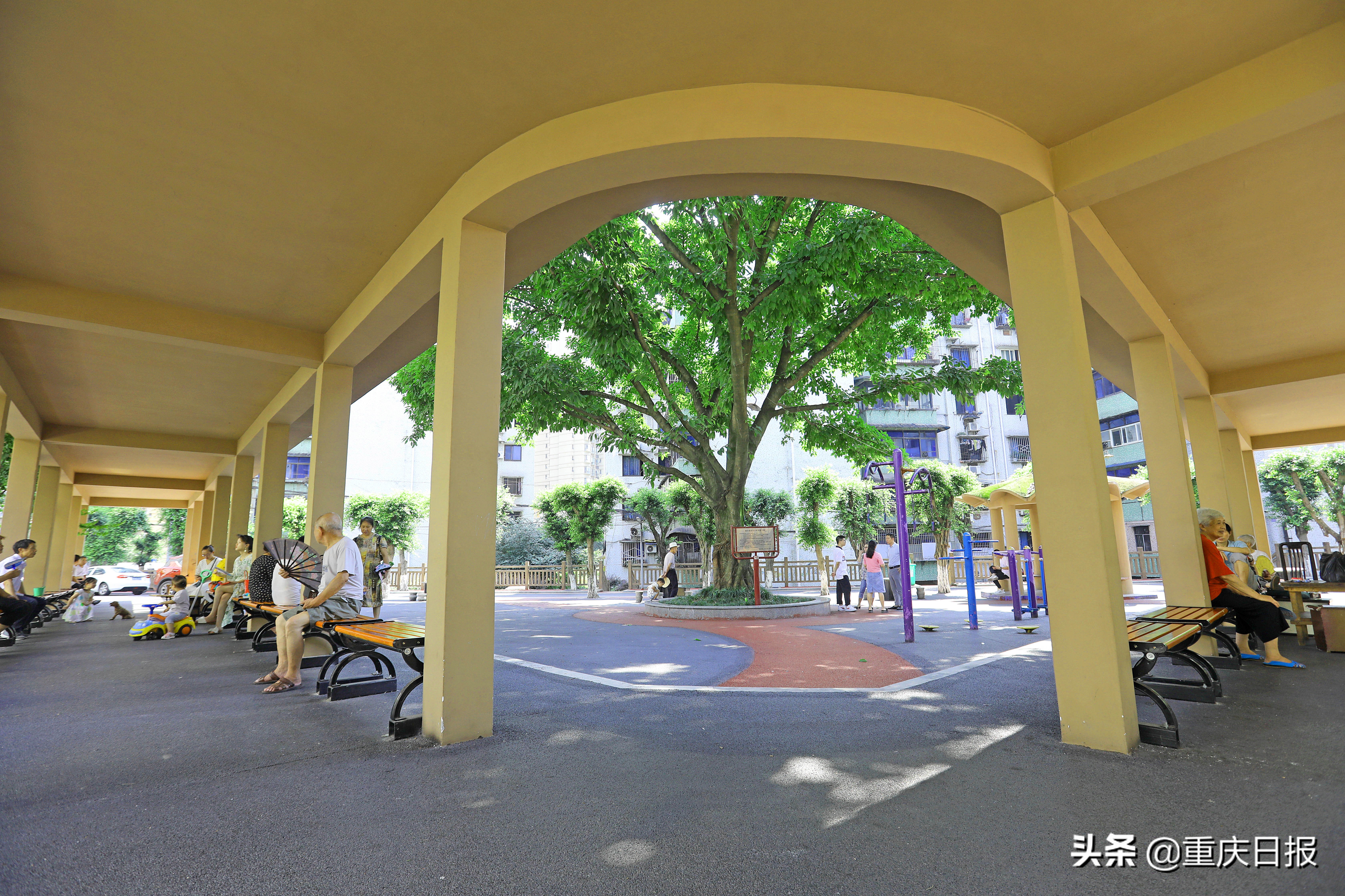 九龙街道旧村改造,漳州九龙新村改造