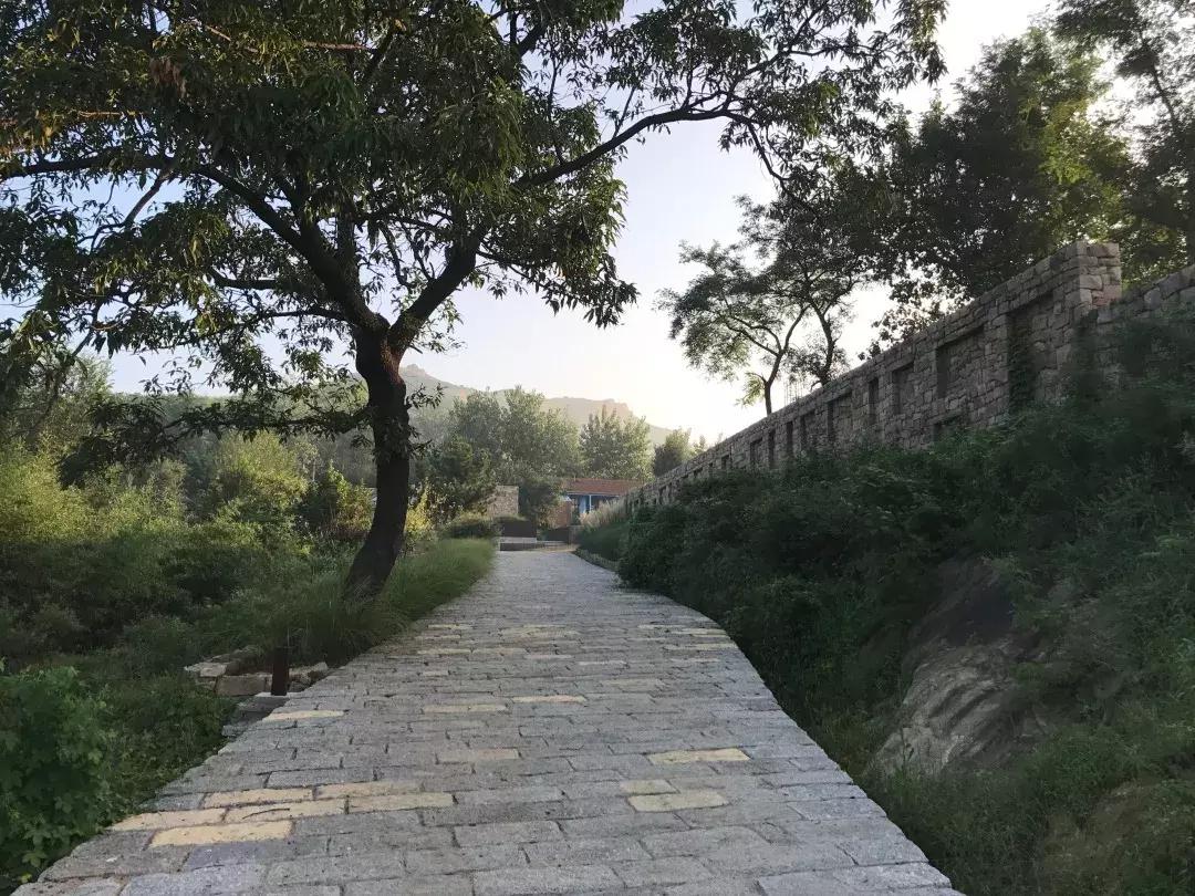 凤凰措古村落,凤凰措古村落设计
