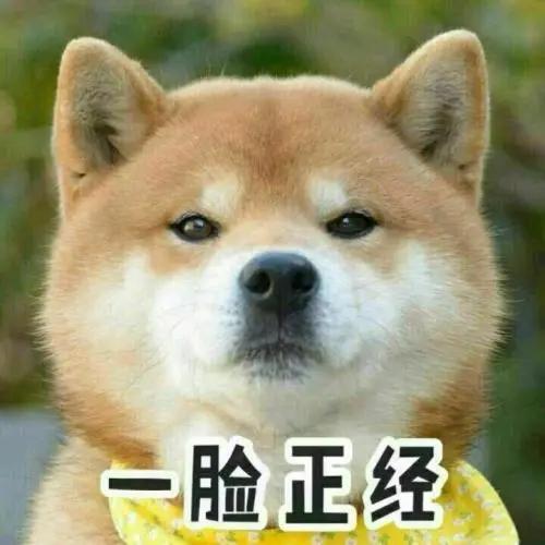 狗狗为何这么喜欢啃骨头又没肉,狗狗为什么都喜欢大骨头