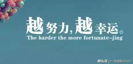 沪教牛津英语八上知识点,沪教版牛津英语八年级怎么学