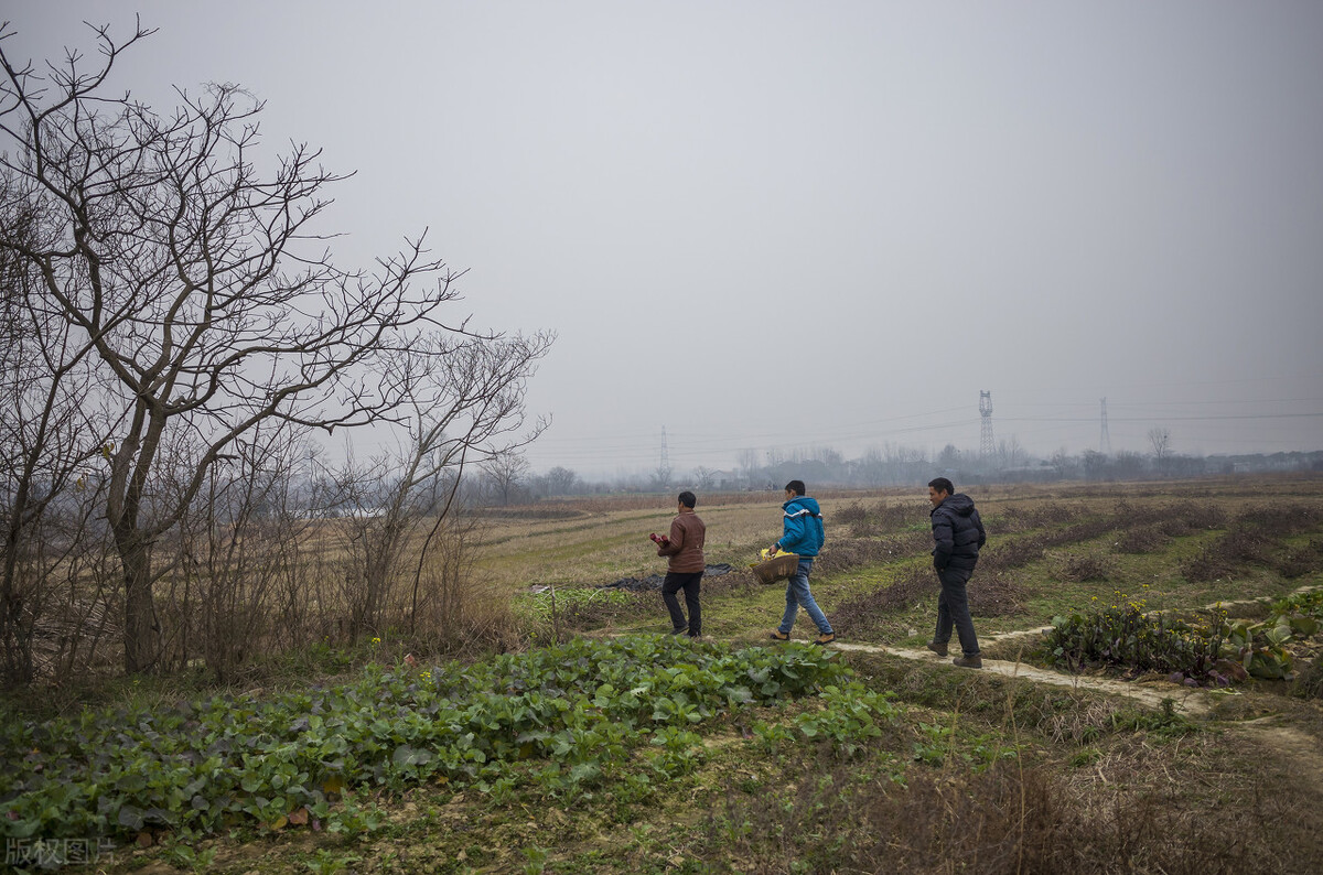 为什么农村禁止棺葬,2022殡葬改革就一定不允许土葬吗