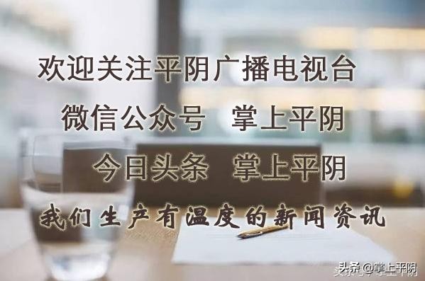 平阴岗位招聘,平阴公开招聘